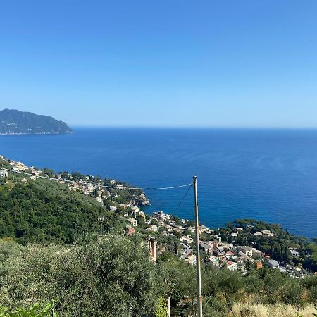 Casa Da Lira Apartment Poggio Favaro-San Bernardo ภายนอก รูปภาพ